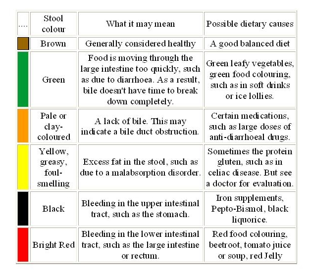 A Simple View of Our Digestive System And Poo!